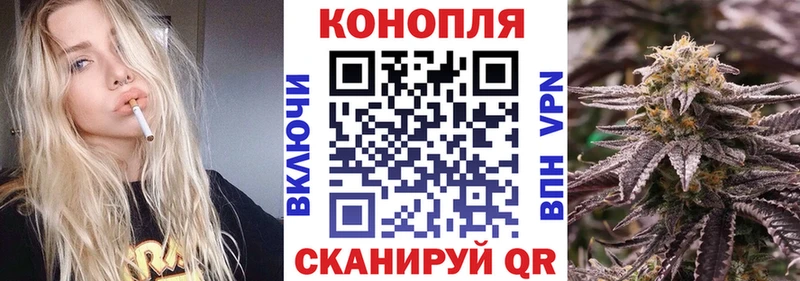 Как найти наркотики Всеволожск ГАШИШ АМФЕТАМИН А ПВП Меф КОКАИН Псилоцибиновые грибы Кетамин Канабис
