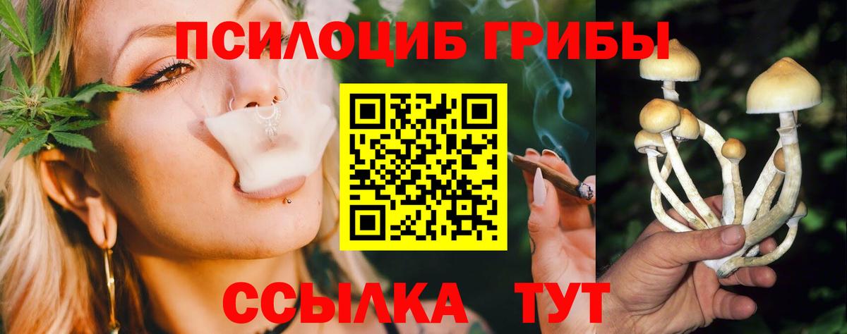 Галлюциногенные грибы Psilocybine cubensis Всеволожск