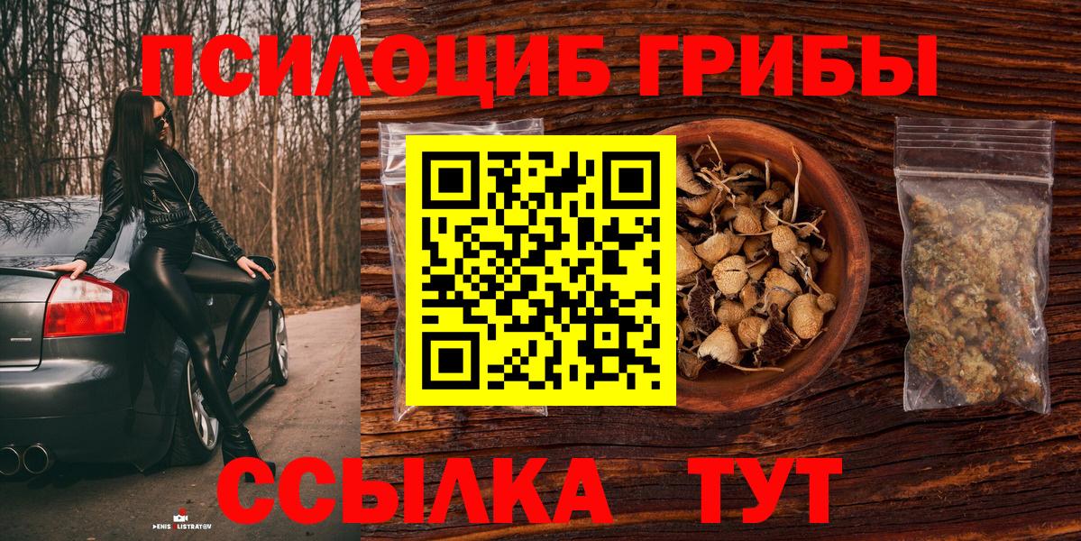 где найти наркотики  Вход с VPN  Всеволожск  Псилоцибиновые грибы GOLDEN TEACHER 